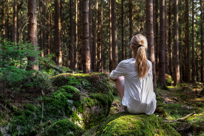 Forest Bathing – The Tyrol Outdoor Forest
